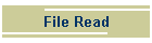 File Read