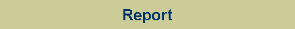 Report
