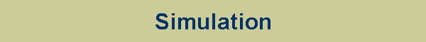 Simulation