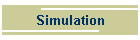 Simulation