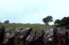 Schottland_000.JPG (73293 Byte)